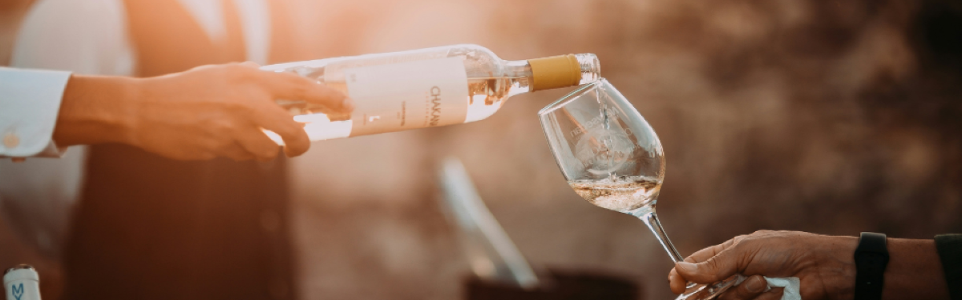 vino_cantine_marketing_blog_03